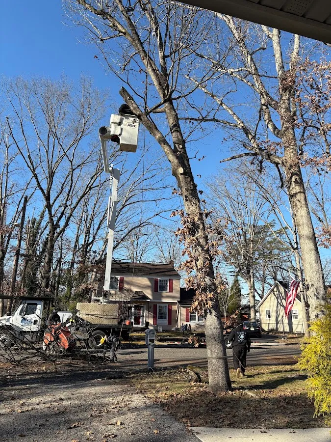 Greg Smith Tree Service LLC