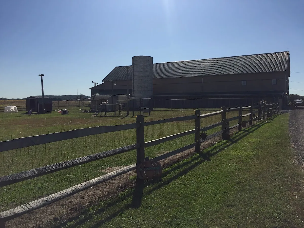 Grooming & Boarding Kennel photo 4