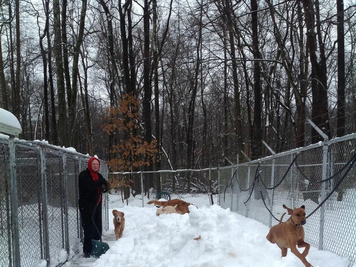 Grooming & Boarding Kennel photo 5