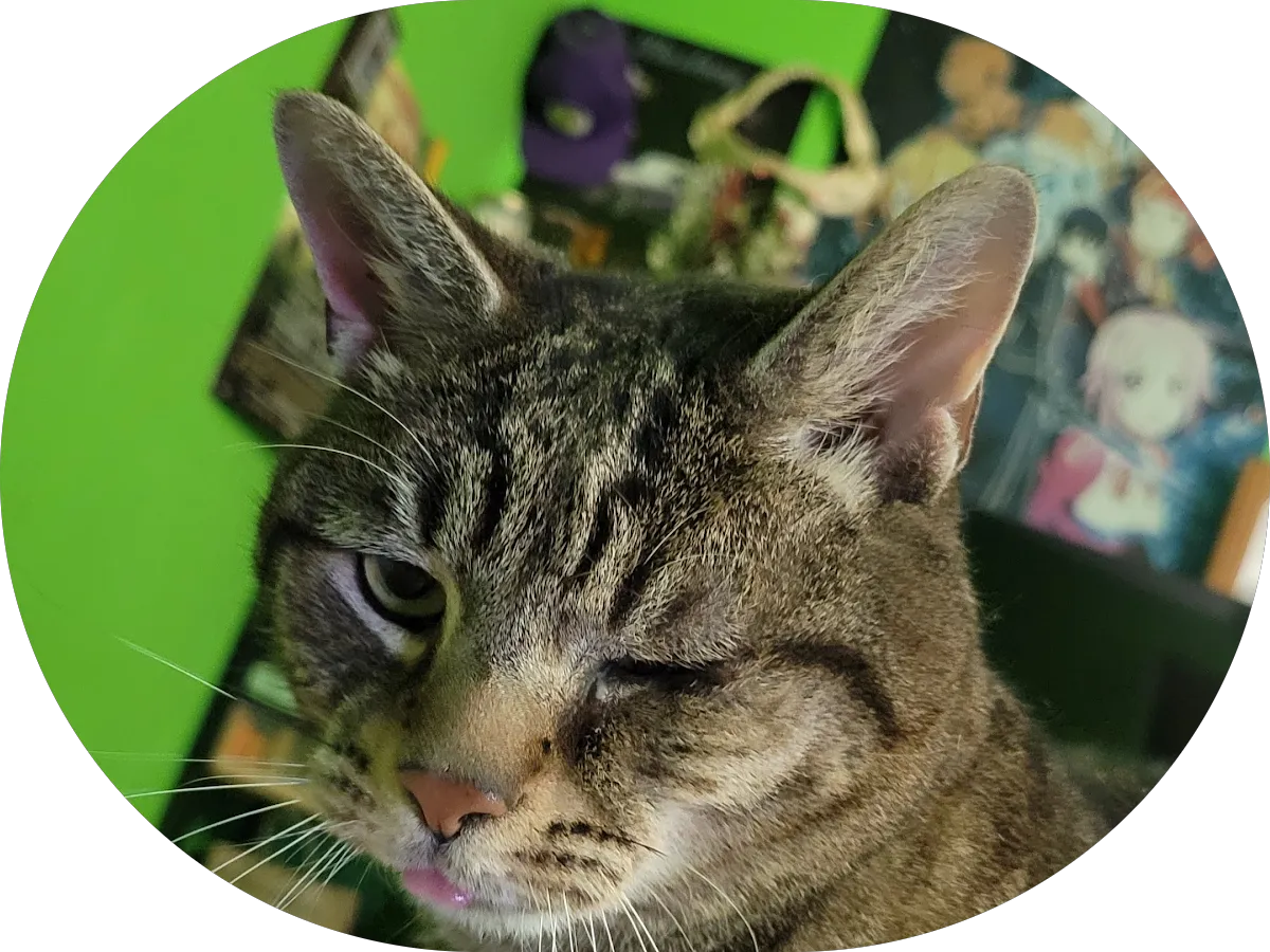 Grove Automotive photo 5