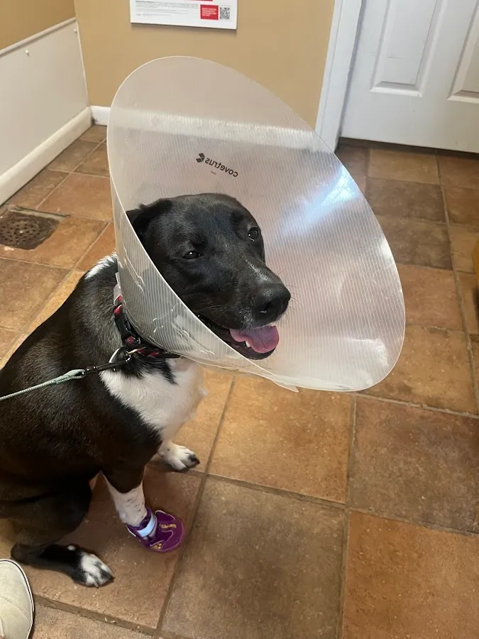 Haddon Vet, LLC photo 2