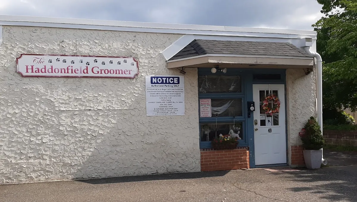 Haddonfield Groomer photo 2