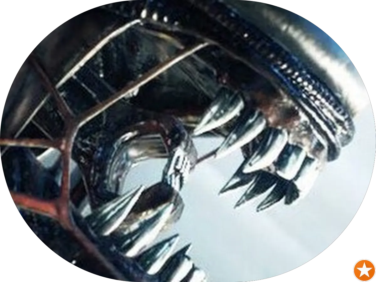 Häagen-Dazs photo 5