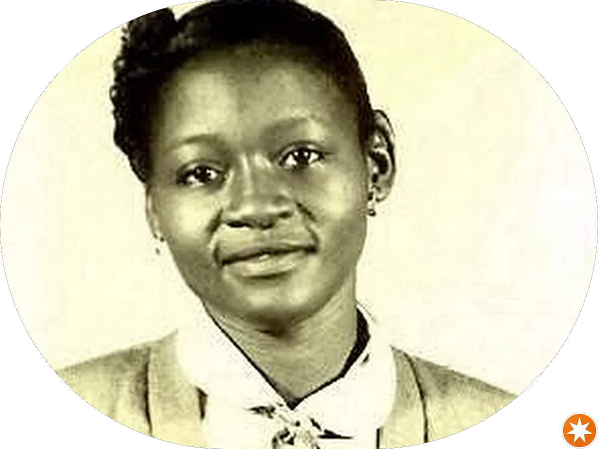 Halal original food cart photo 3