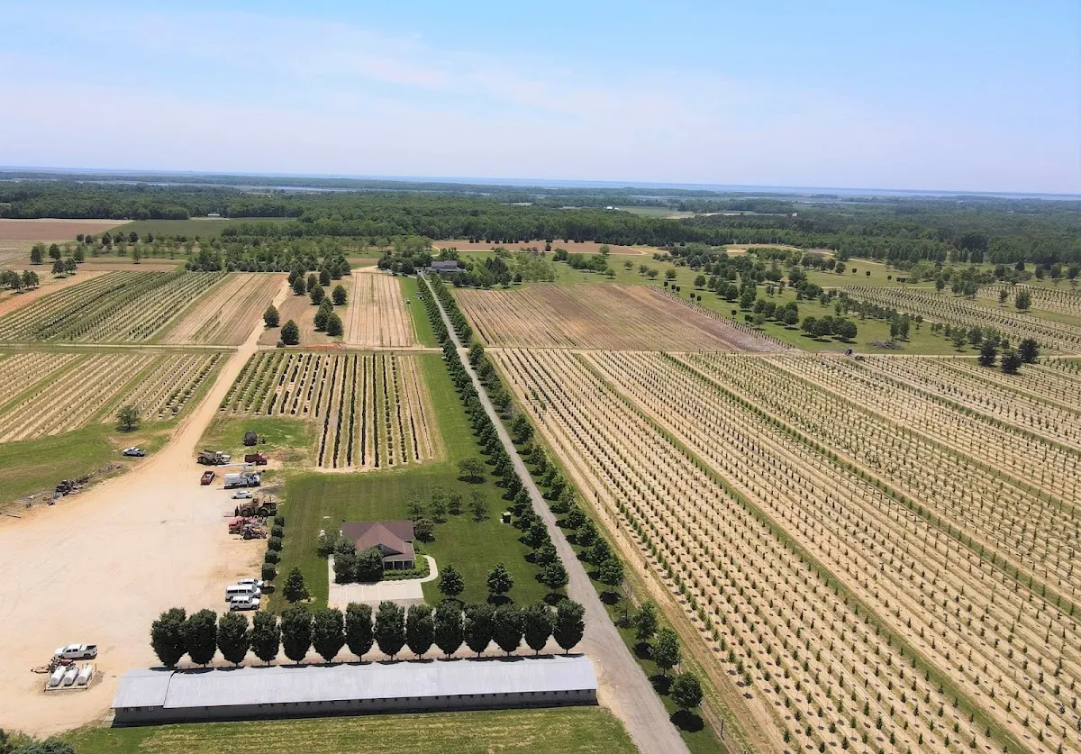 Halka Nursery hopewell yard