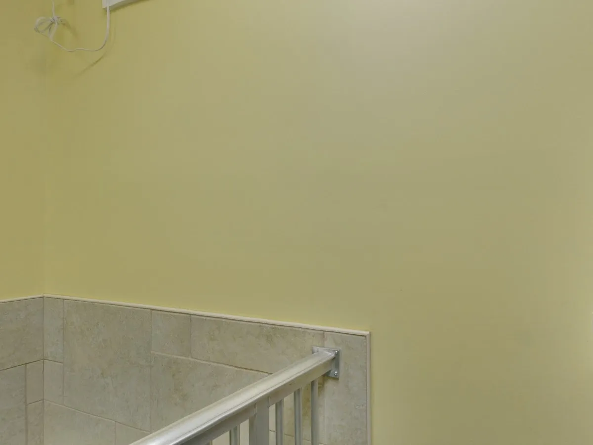 Halo House Animal Resort