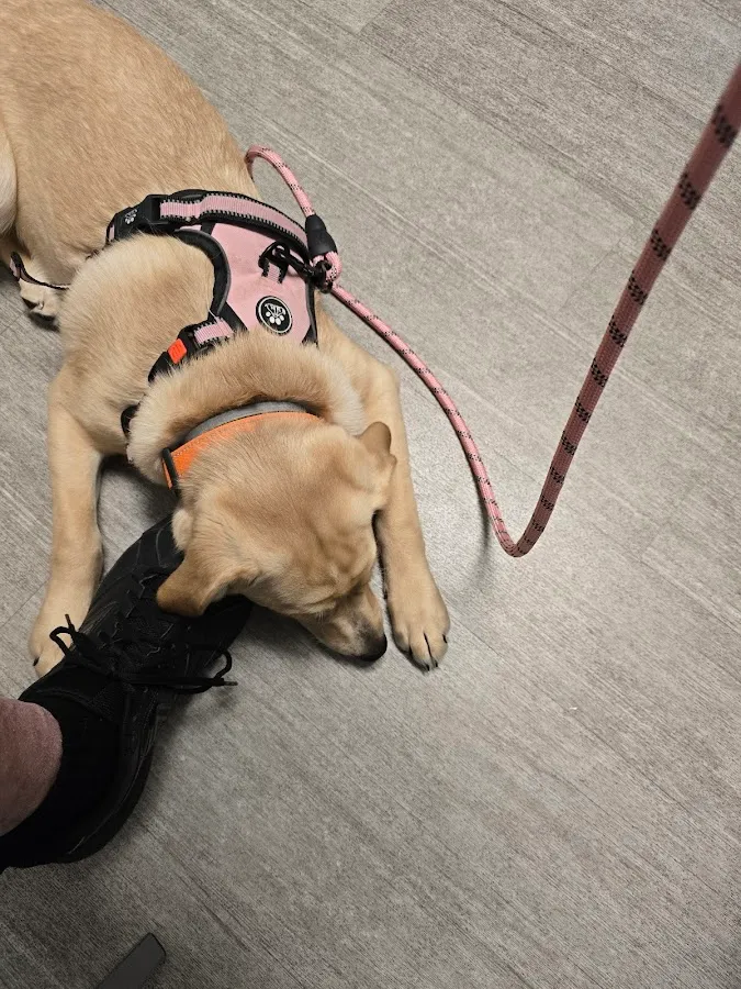 Hamilton Animal Hospital