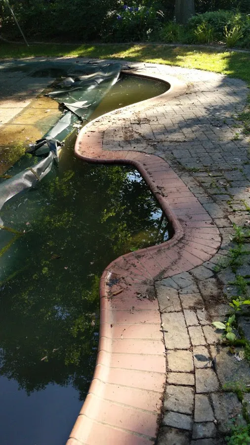 Hammerhead Pool Service