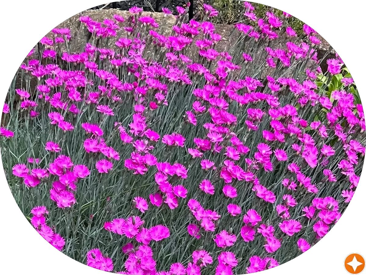 Hammond Roofing photo 5