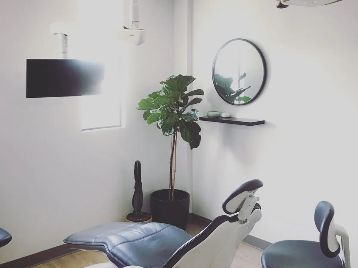 Hank Z Cutler DMD photo 4