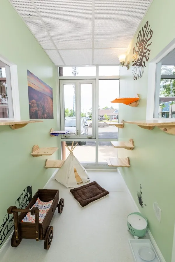 Happy Cat Hotel & Spa Mt Laurel