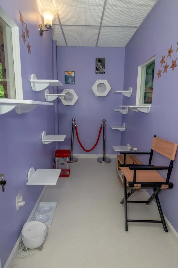 Happy Cat Hotel & Spa Mt Laurel photo 4