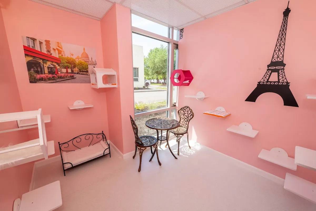 Happy Cat Hotel & Spa Mt Laurel photo 5