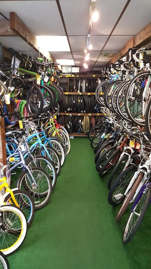 Harbor Bike & Beach Shop photo 2