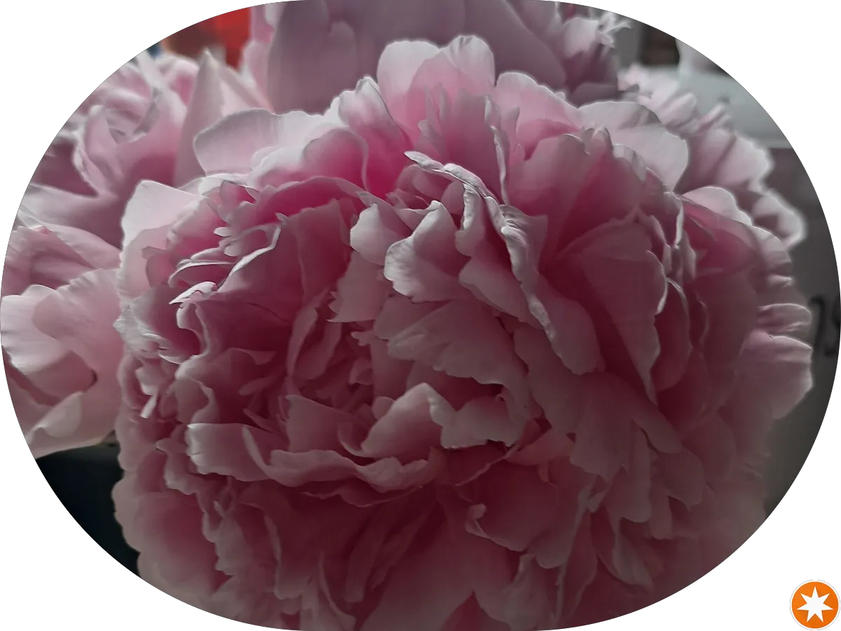 Harbor Freight photo 4