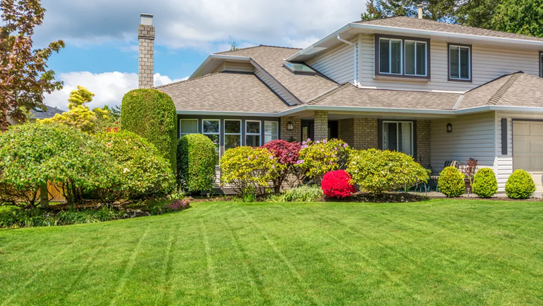 Harbor View Landscaping photo 2