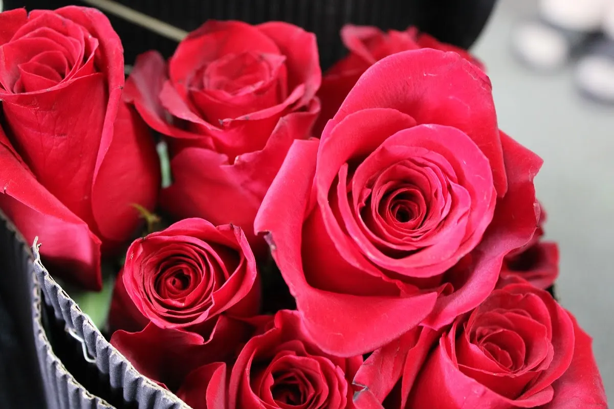 Harker's Flowers photo 3