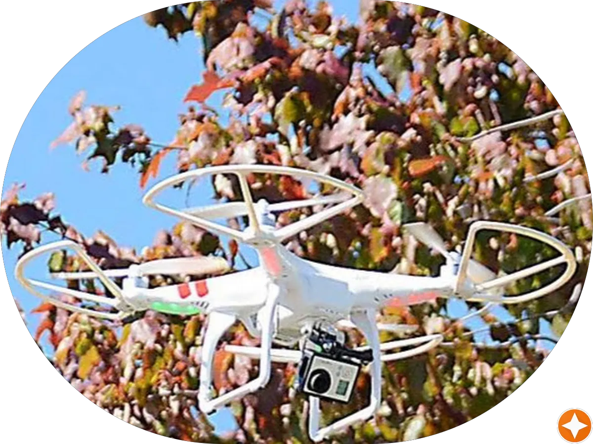 Harvey Dash Insurance photo 4