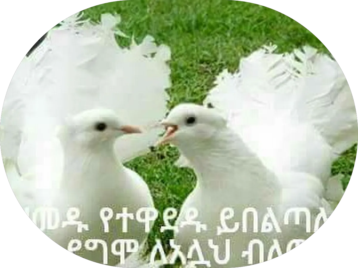 HaVAC AIR HEATING AND COOLING LLC photo 2