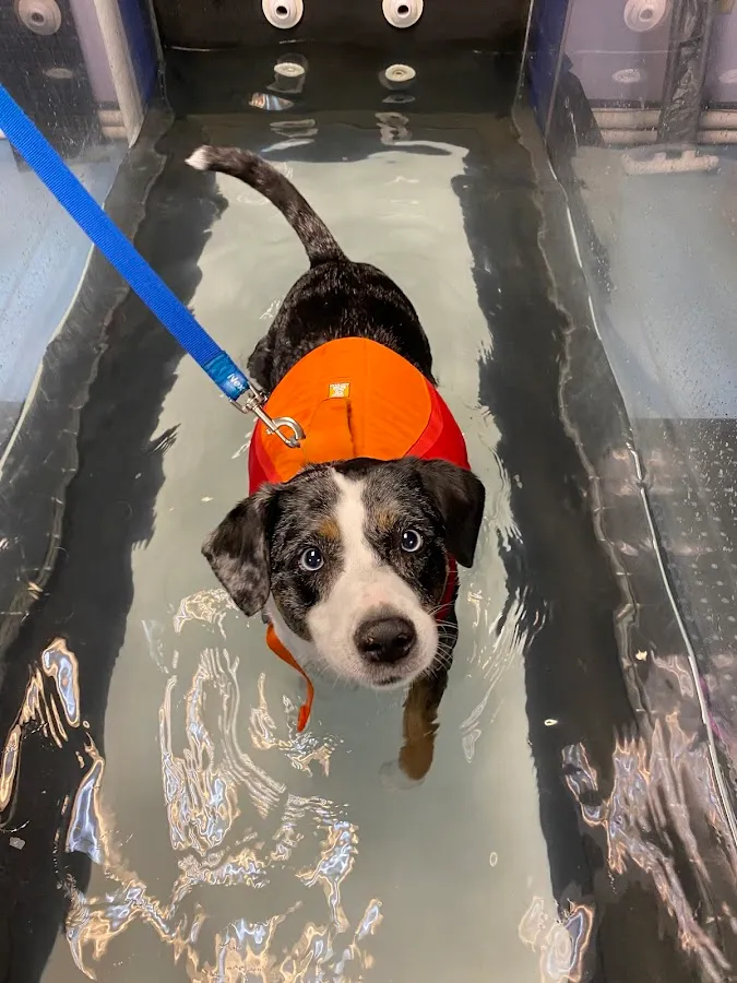 Haven Animal Health Services | Home of PetPT