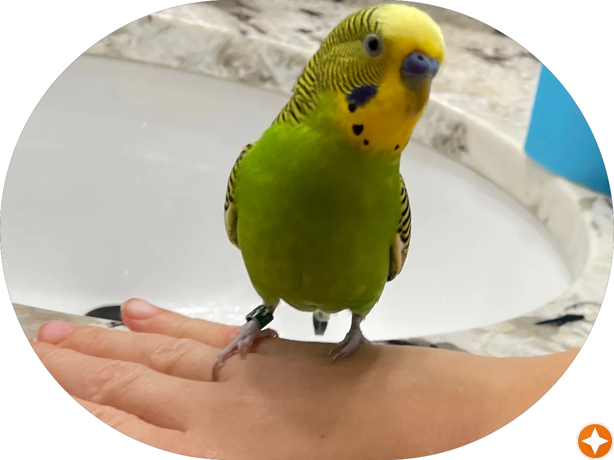 HBC Company, Inc. photo 2