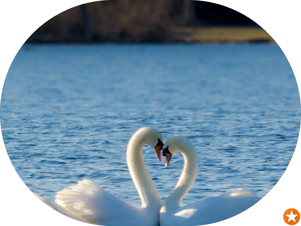 Healing Path Acupuncture photo 5