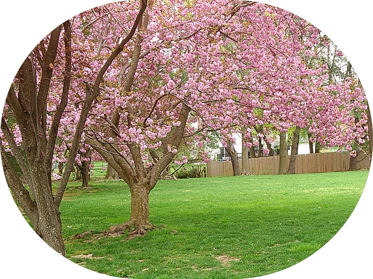 Healthy Kids Pediatric Group photo 3