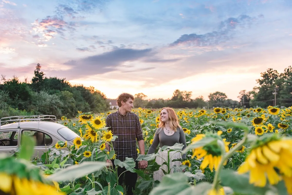 Heather Cox Photography photo 4