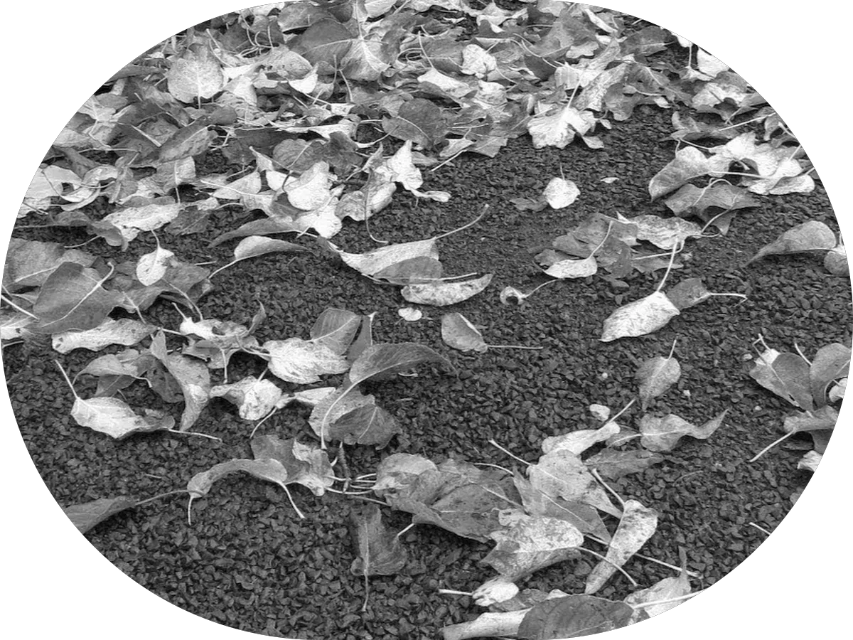 Heather House Condominium Inc photo 2