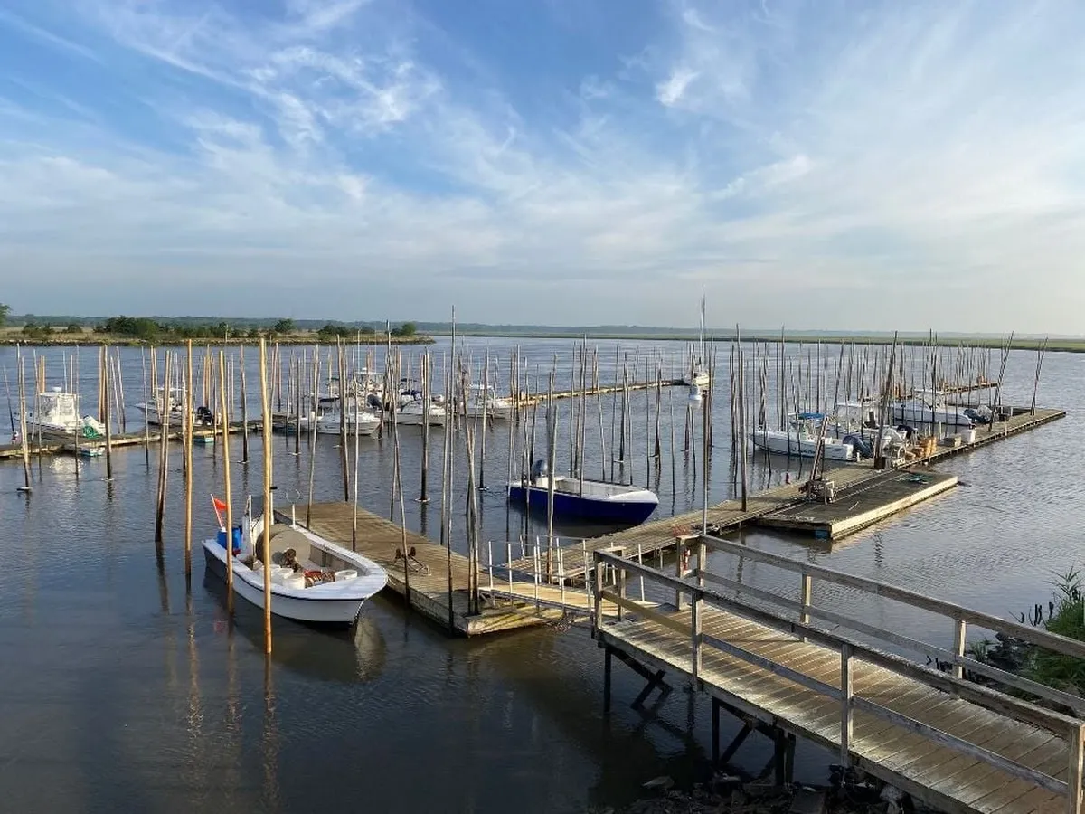 Heislerville Wildlife Management Area photo 2