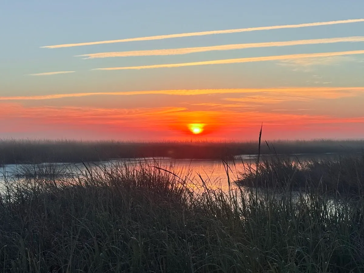 Heislerville Wildlife Management Area photo 3