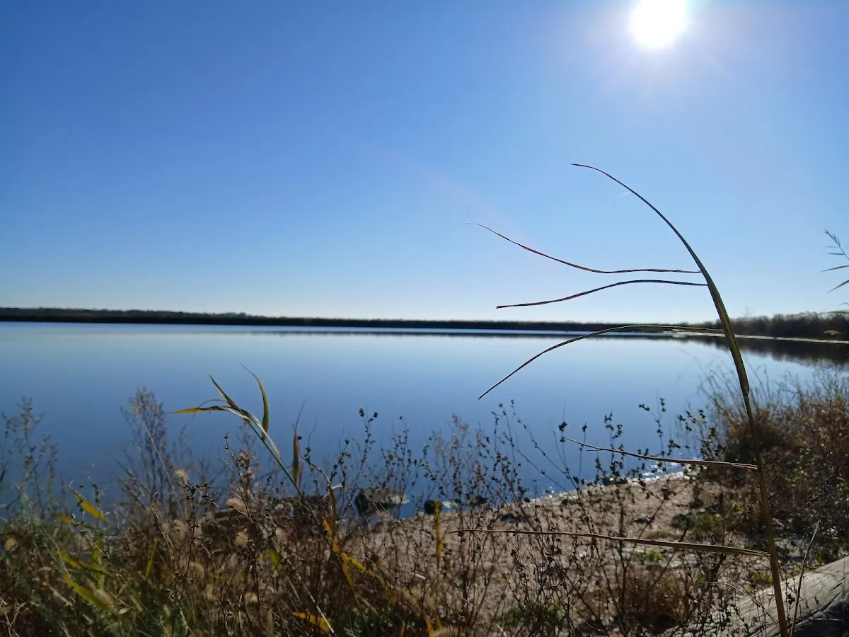Heislerville Wildlife Management Area photo 4