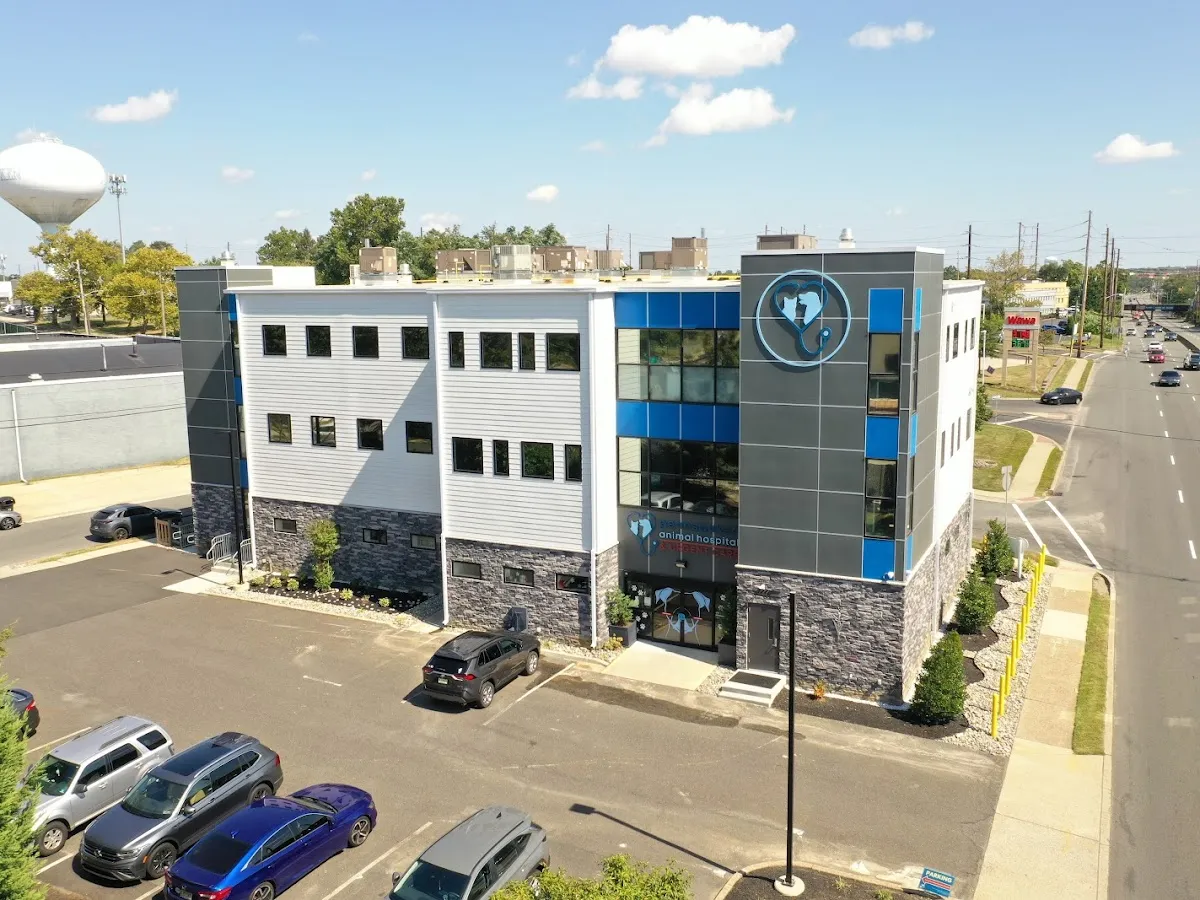 Helping Paws PAH photo 3