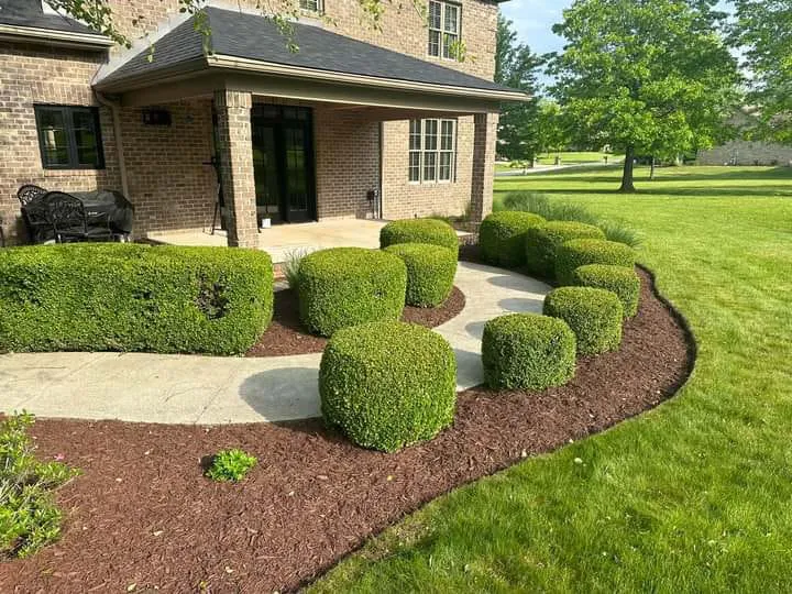 Hernandez Landscaping and More LLC photo 2