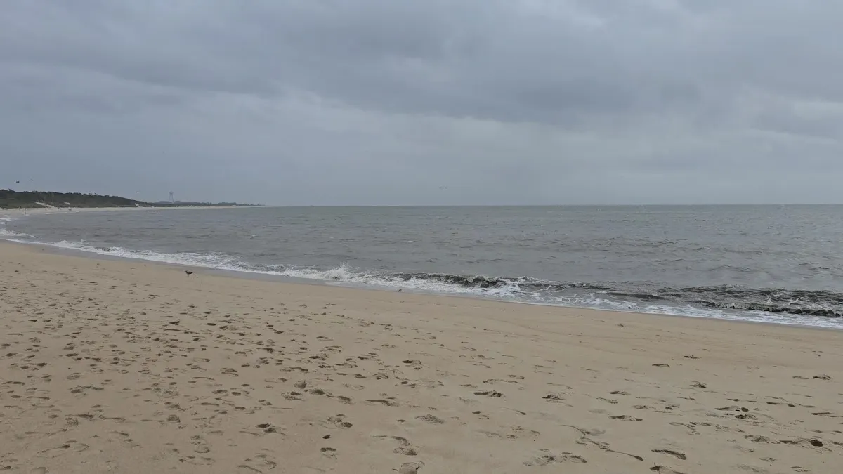 Higbee Beach Parking Lot photo 3