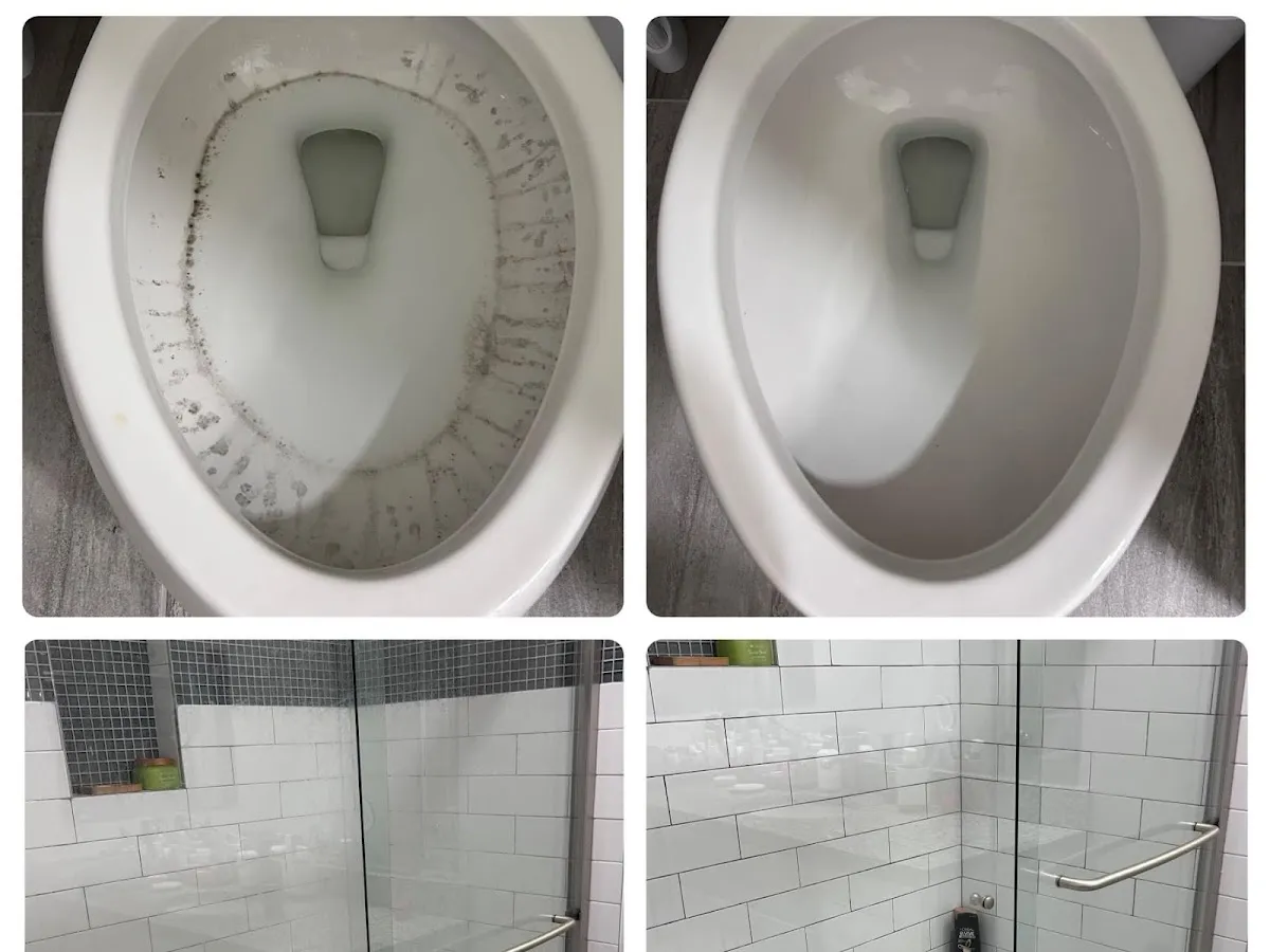 High & Low Pest Control photo 4