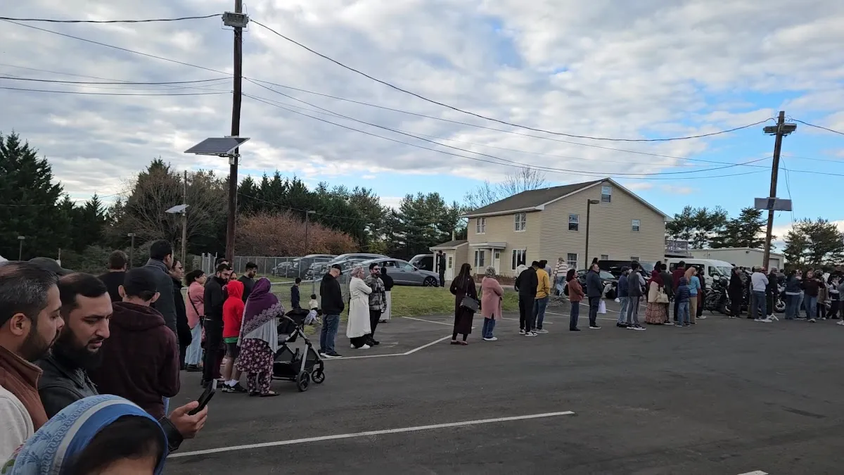 Highline Motor Cars photo 3