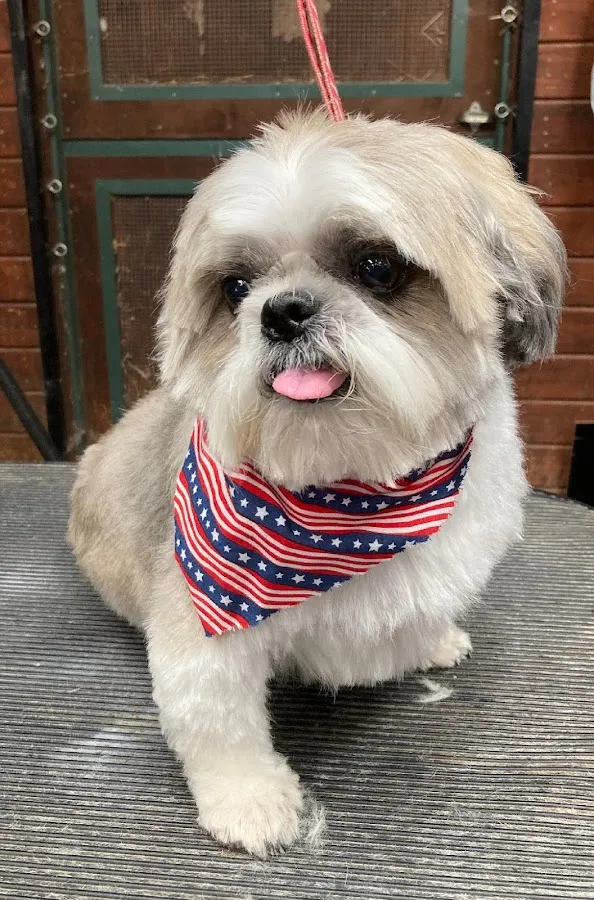 HighStanding Kennel and Stable, LLC