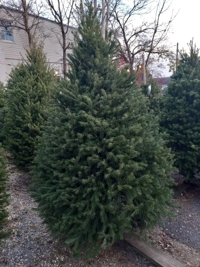 Hilltop Garden Center photo 3