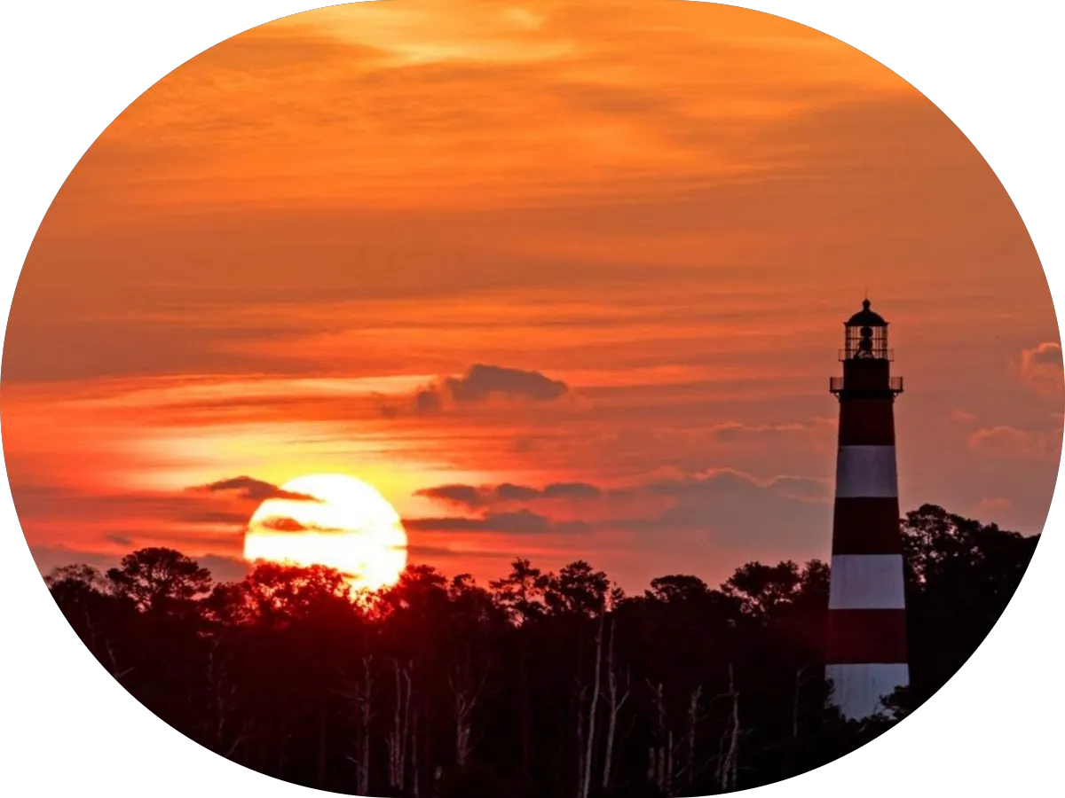 Hilyard's Business Solutions photo 5