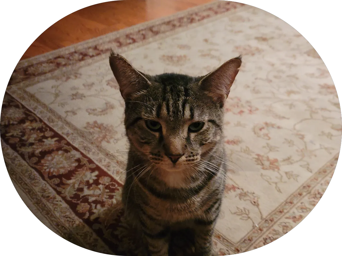 HMGS Dermatology photo 3