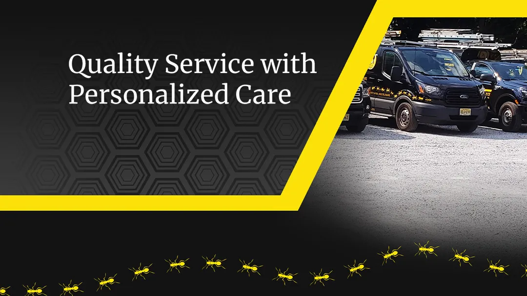 Hoffman's Exterminating photo 2