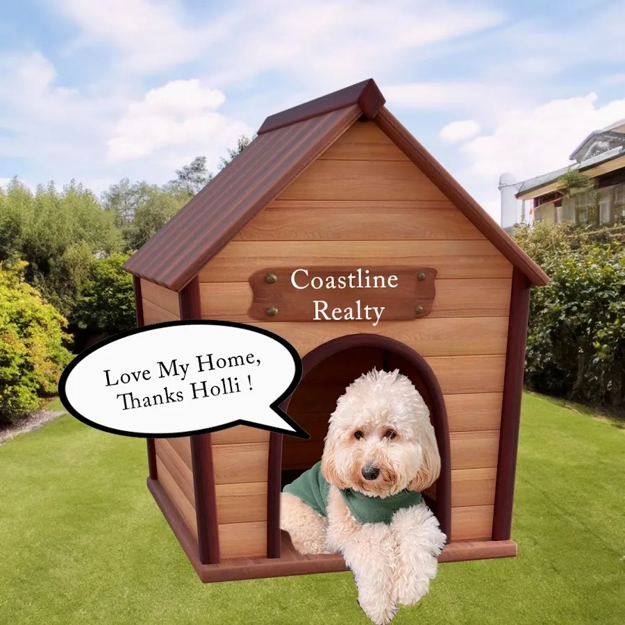 Holli Cappelli -Real Estate Associate ABR, SRS