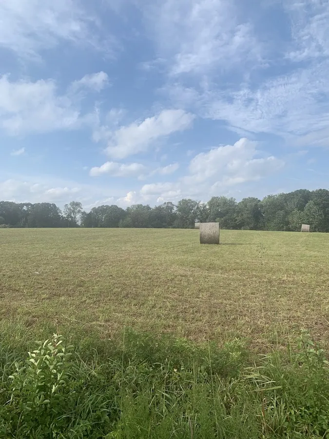 HollowayforHomes Michael Holloway, Realtor Keller Williams Realty