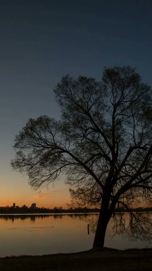 Home Journey Realty photo 2