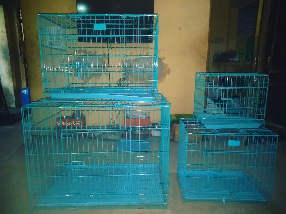 Home Towne Pet Shoppe