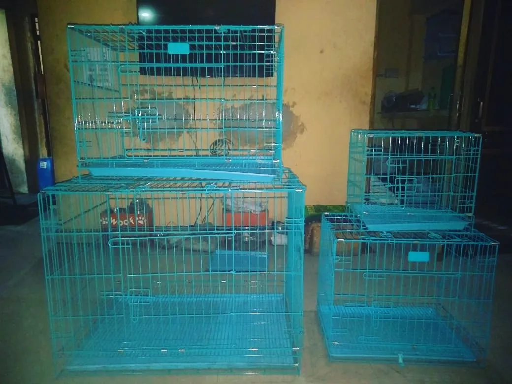 Home Towne Pet Shoppe photo 2