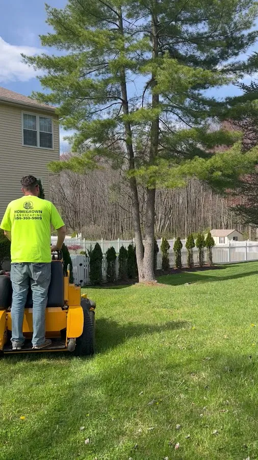 Homegrown Landscaping photo 2