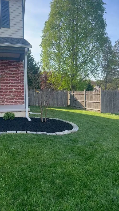 Homegrown Landscaping photo 3