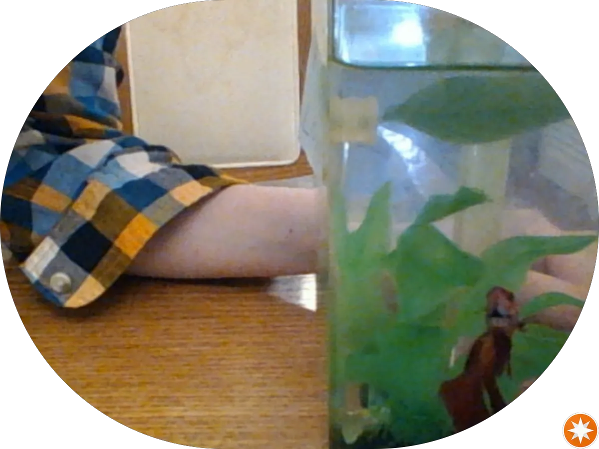 Hometown Pharmacy photo 2